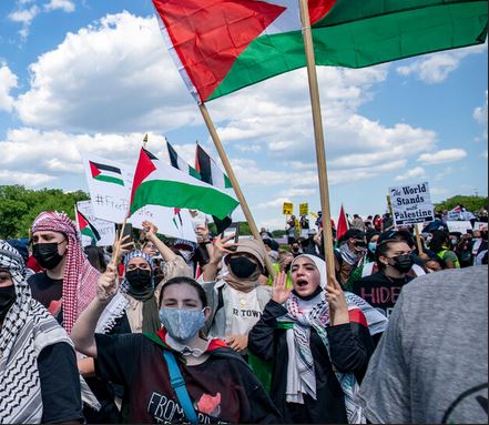 Palestinian Protestors